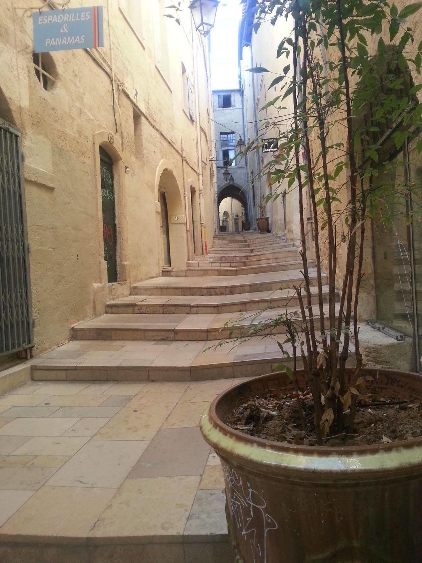 Hotel Des Voyageurs Montpellier Bagian luar foto